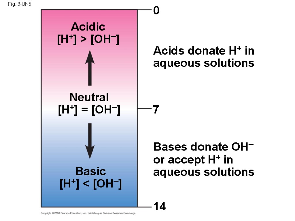 Fig. 3-UN5 Bases donate OH– or accept H+ in aqueous solutions Acids donate H+